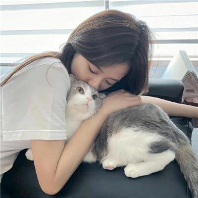 廿载风流梦